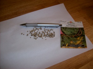 This is what spinach seeds look like.  These are what is leftover from the packet I started yesterday.